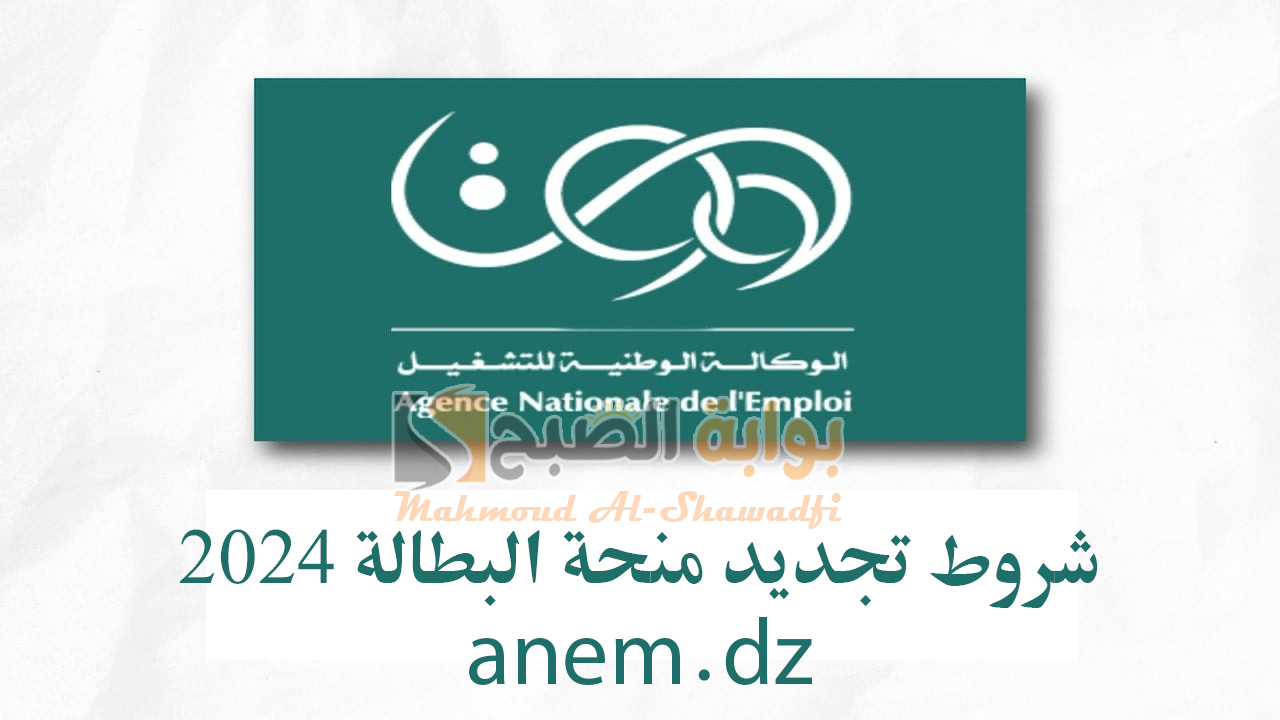 شروط تجديد منحة البطالة 2024