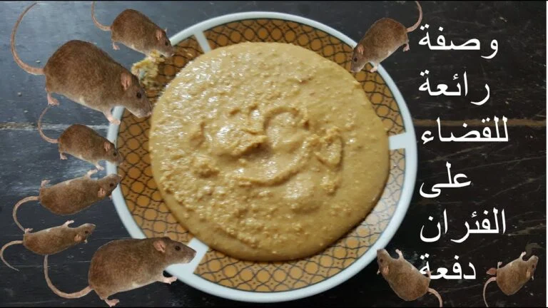 طريقة القضاء علي الفئران