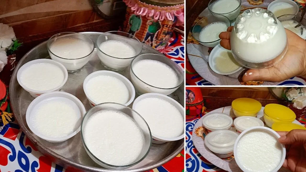 طريقة عمل الزبادي في المنزل