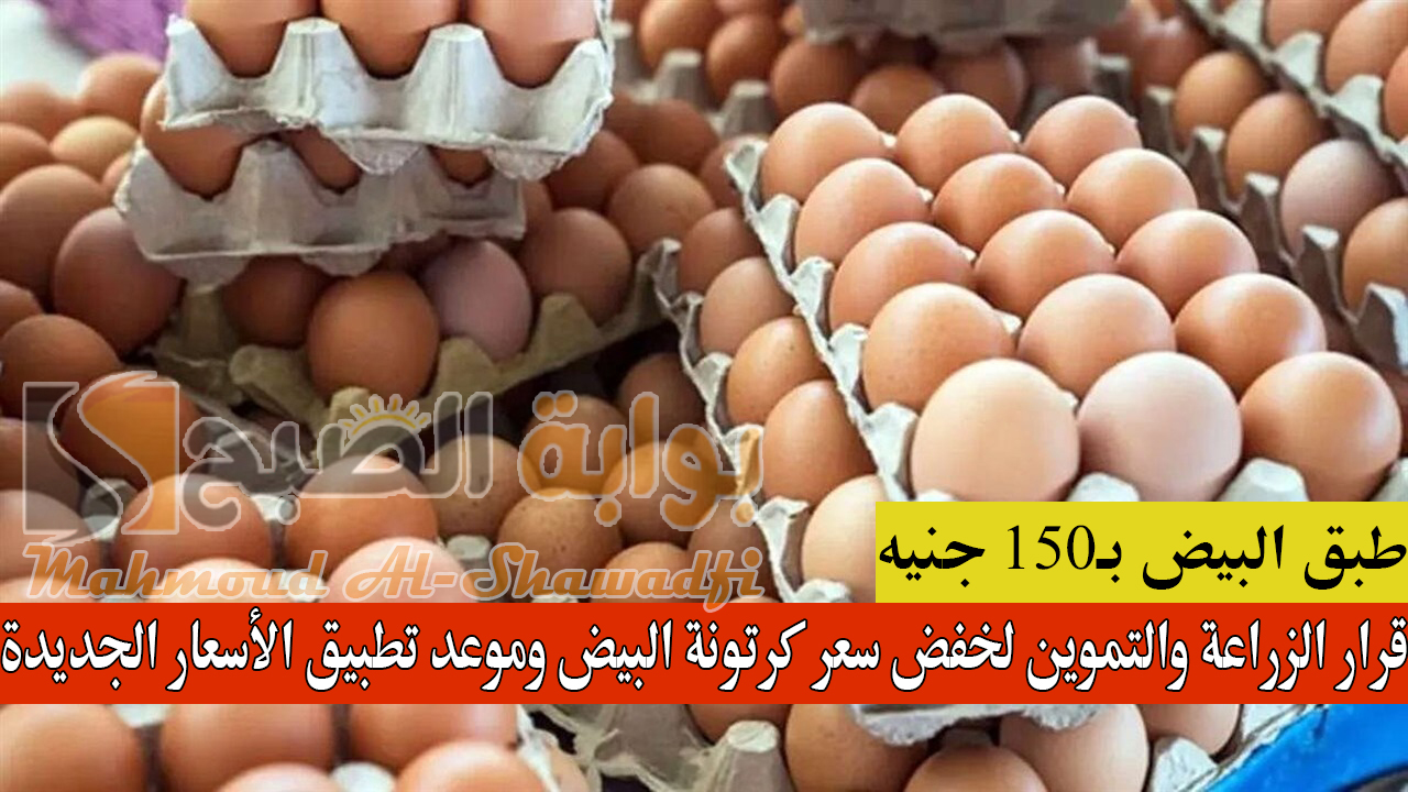 قرار الزراعة والتموين لخفض سعر كرتونة البيض وموعد تطبيق الأسعار الجديدة