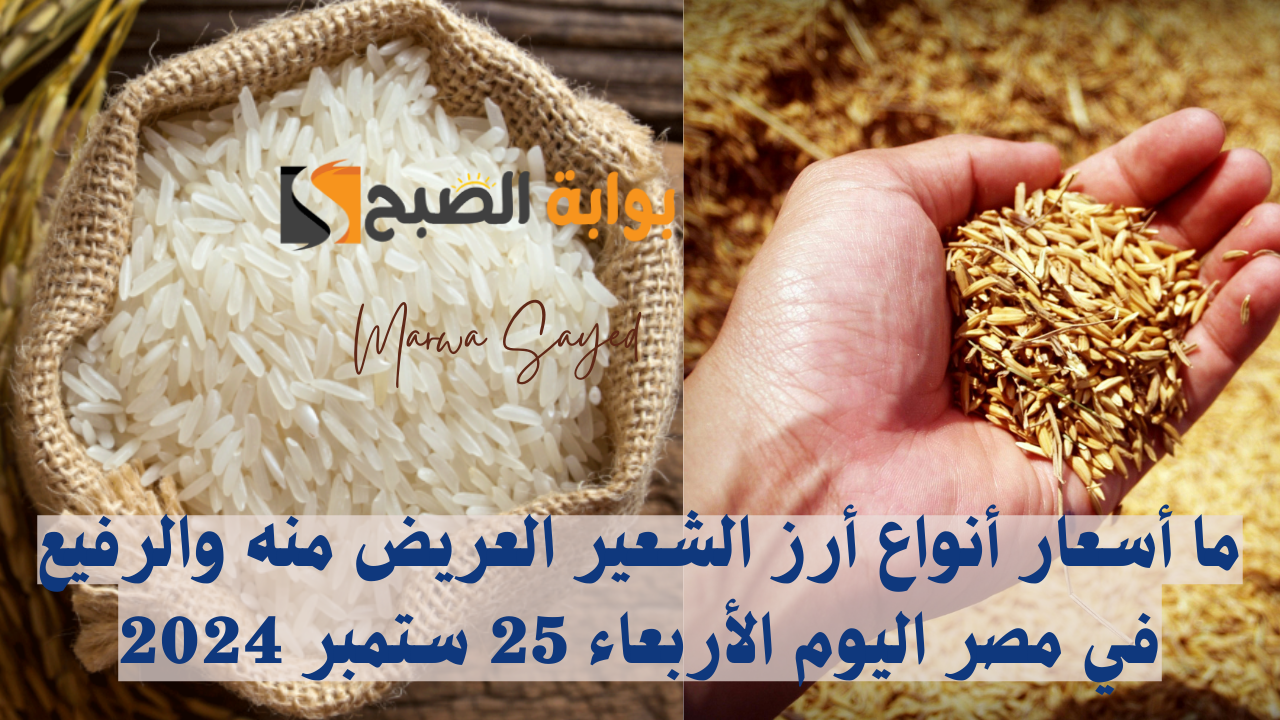 ما أسعار أنواع أرز الشعير العريض منه والرفيع في مصر اليوم الأربعاء 25 ستمبر 2024