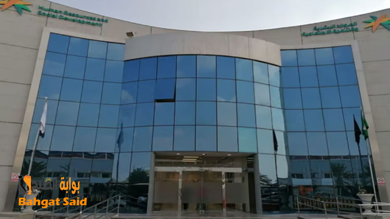 ما الذي يؤثر على الضمان الاجتماعي المطور