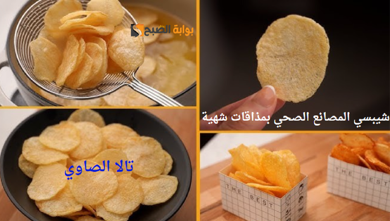 شيبسي المصانع الصحي