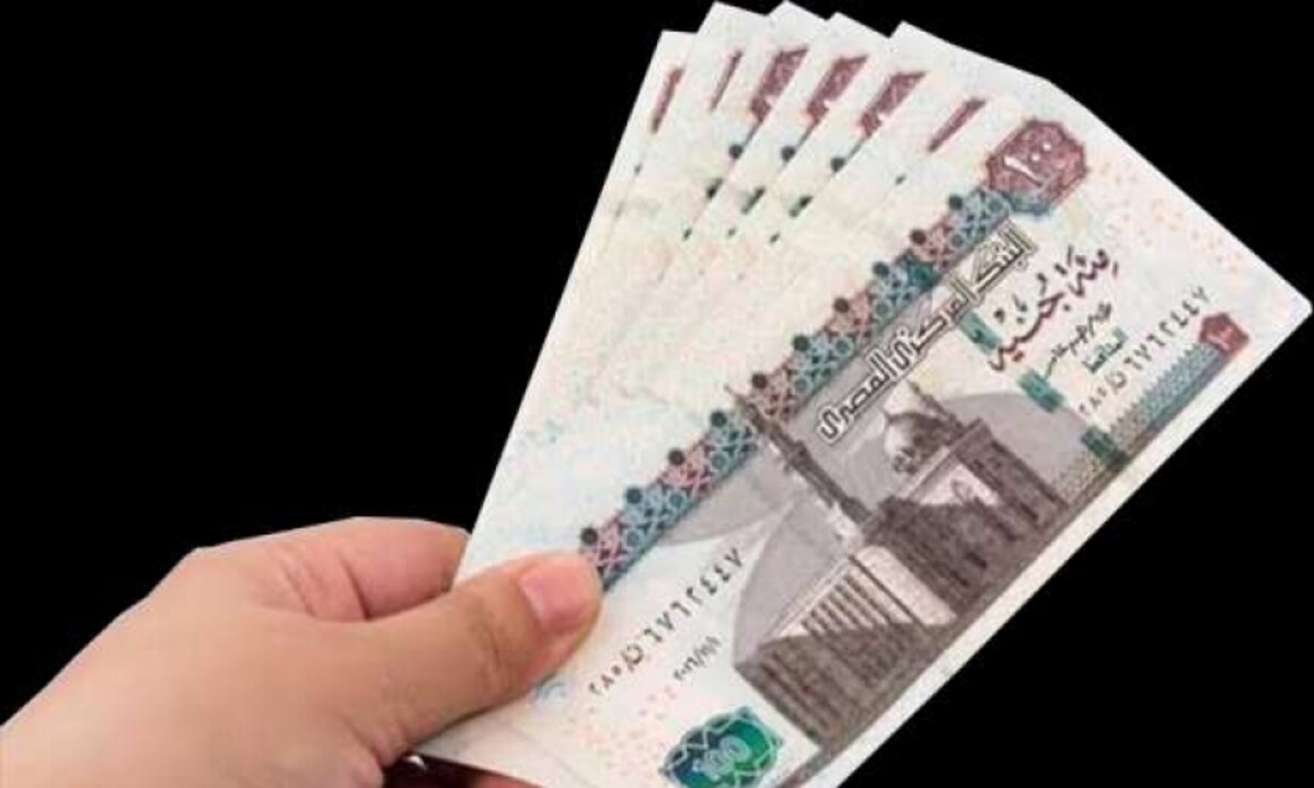 عاجل.. بدء صرف منحة عيد الميلاد للعمالة غير المنتظمة في جميع المحافظات