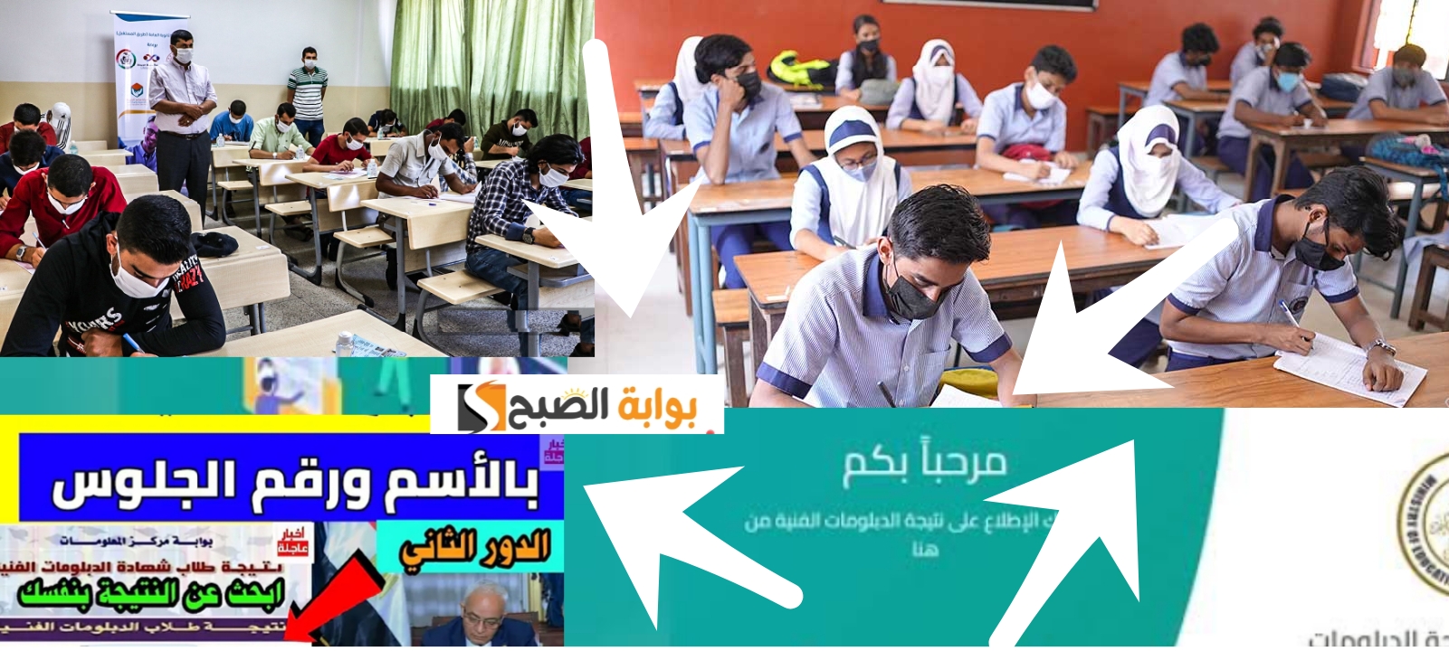 نتائج الدبلومات 2024
