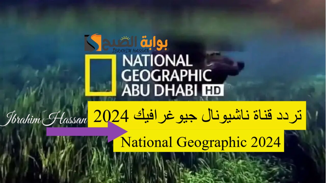 نزلها الآن واستمتع بعالم الطبيعة.. تردد قناة ناشيونال جيوغرافيك 2024 National Geographic