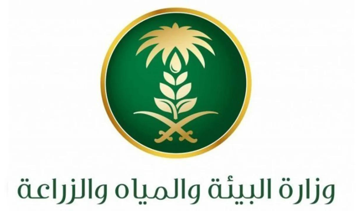 نص فقرتك 37