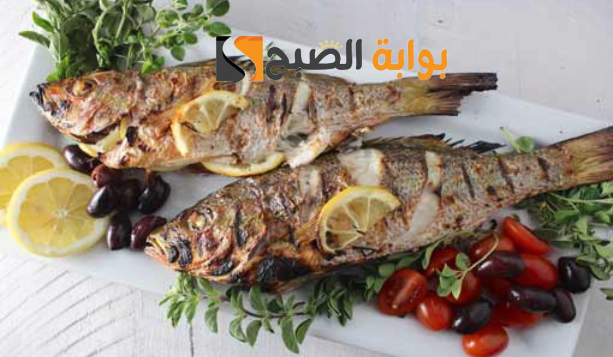 نص فقرتك 20240907 091458 ٠٠٠٠