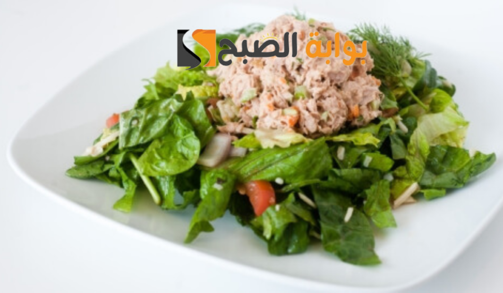 نص فقرتك 20240907 133852 ٠٠٠٠ 1024x597 1