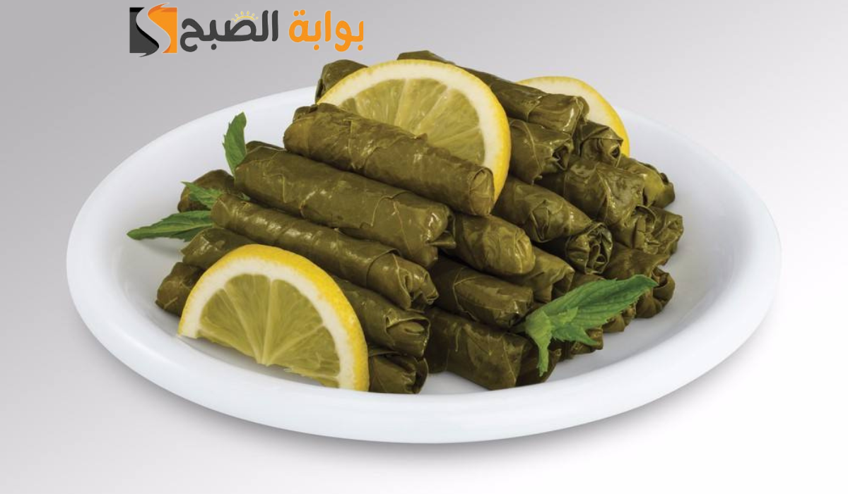 نص فقرتك 20240918 093400 ٠٠٠٠
