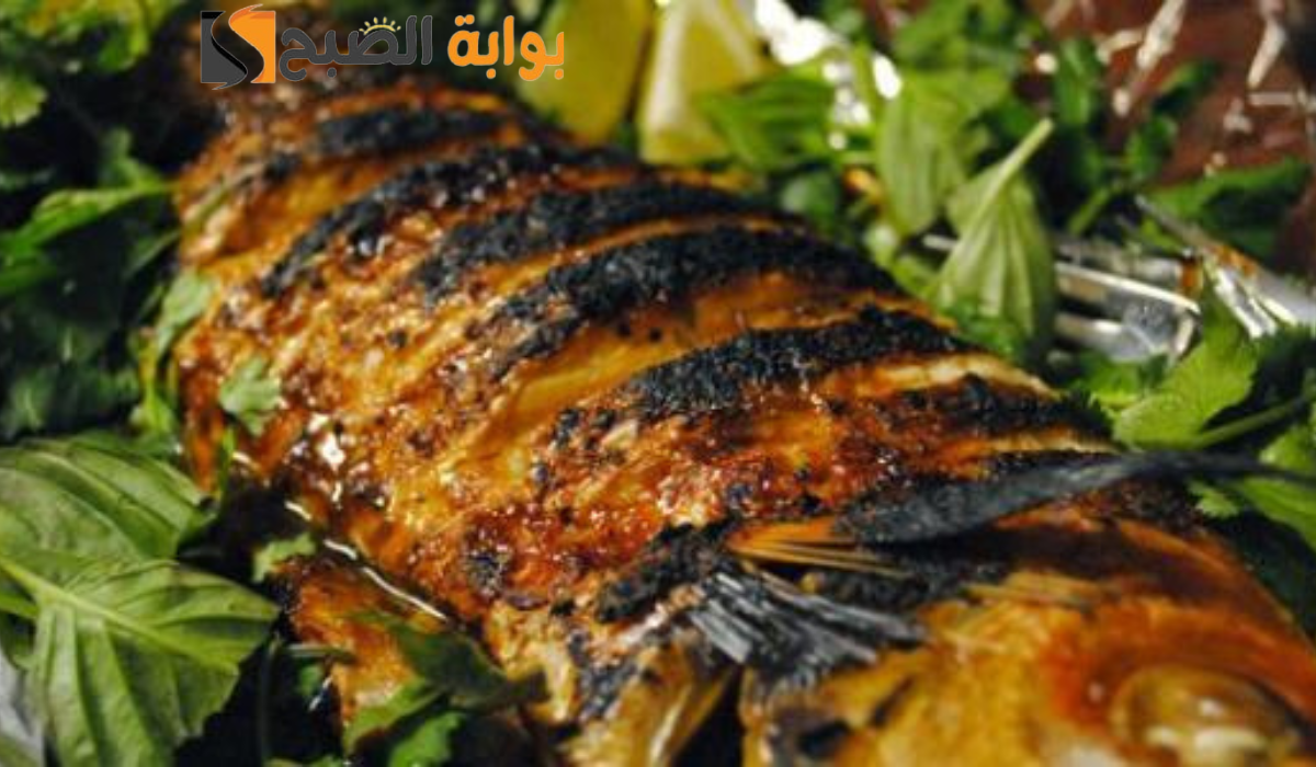 نص فقرتك 20240918 225323 ٠٠٠٠