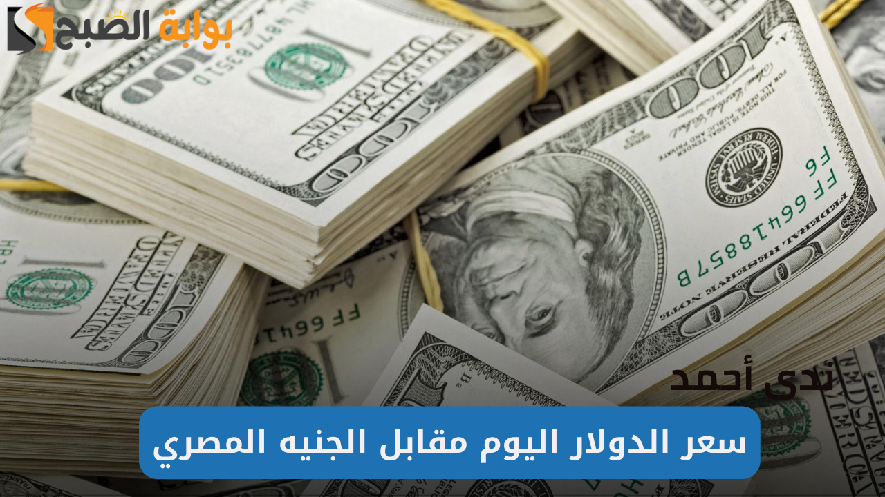 أسعار الدولار في البنوك المصرية