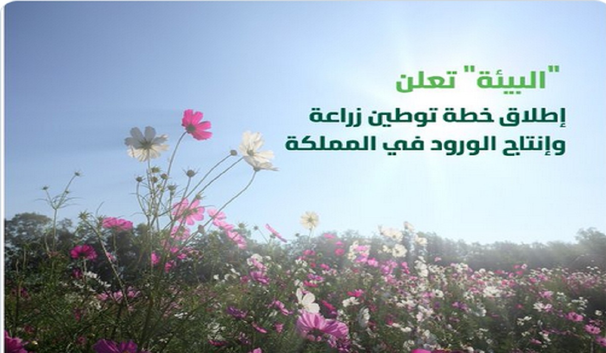 وزارة البيئة تُعلن إطلاق خطة توطين زراعة وإنتاج الورود في المملكة