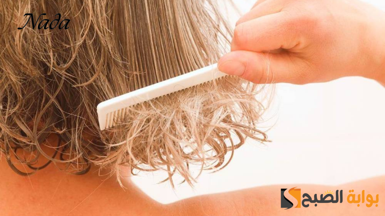 وصفات تطويل الشعر وتكثيفه