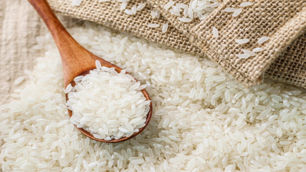 طن الرز.. الأسعار وتأثير موسم الحصاد على السوق المصري