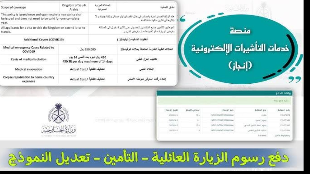 طريقة دفع رسوم انجاز التاشيرات 2024