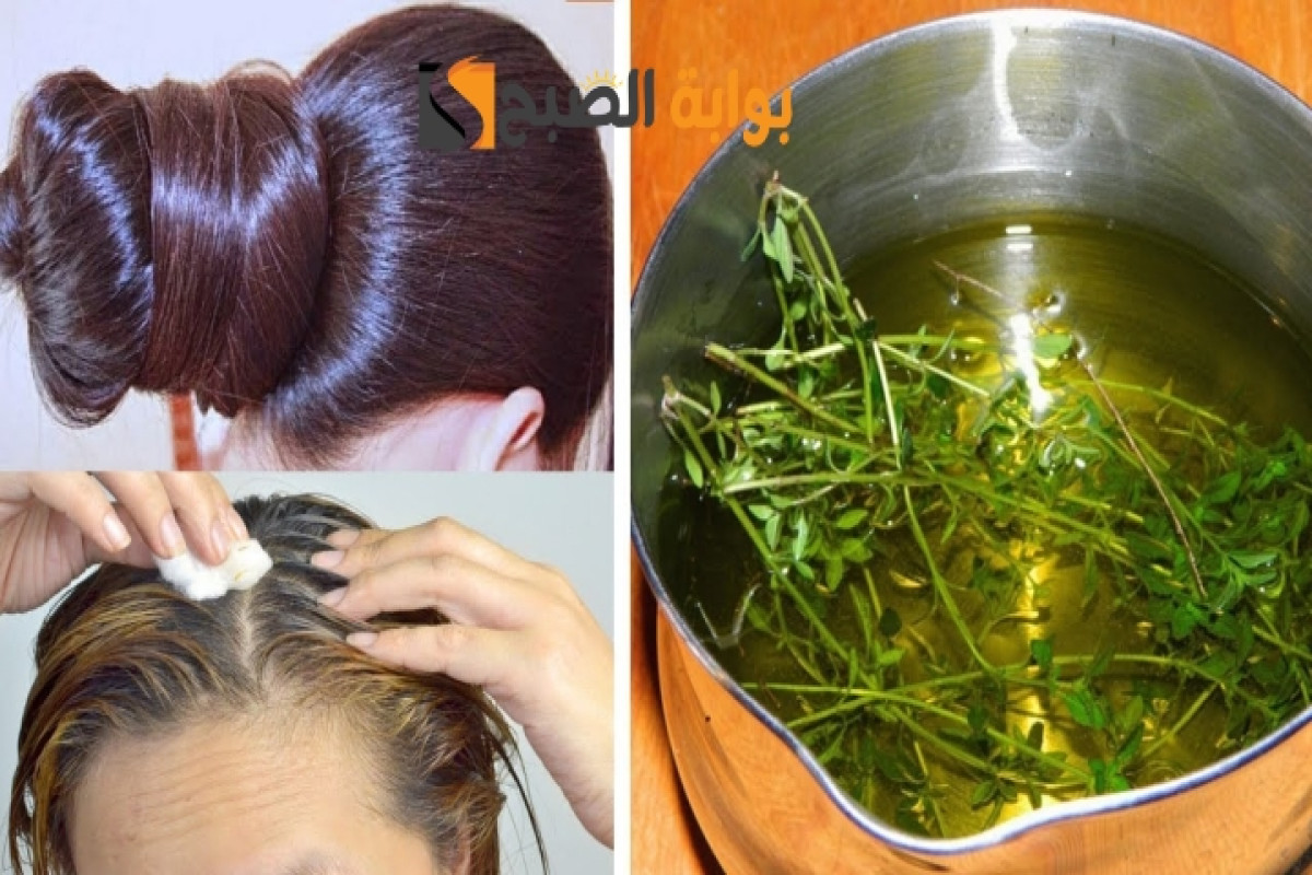 وصفة اكليل الجبل للشعر اكليل الجبل الروزماري للشعر