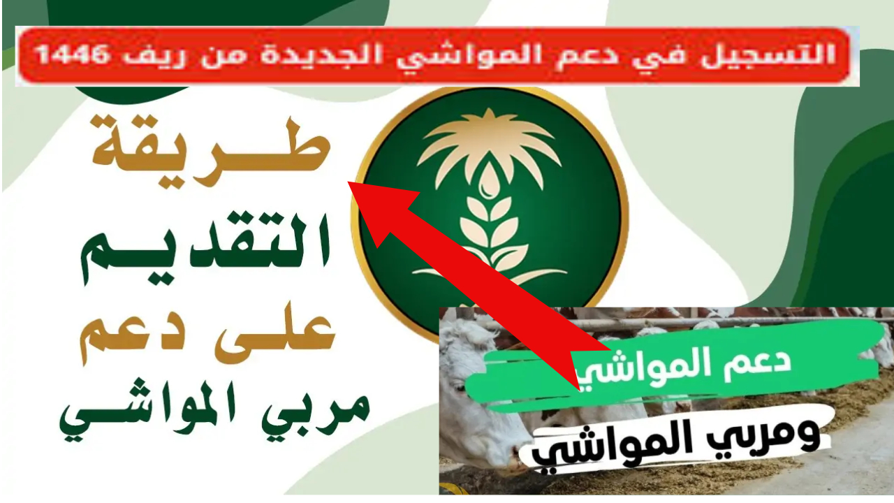 التقديم على دعم مربي الماشية