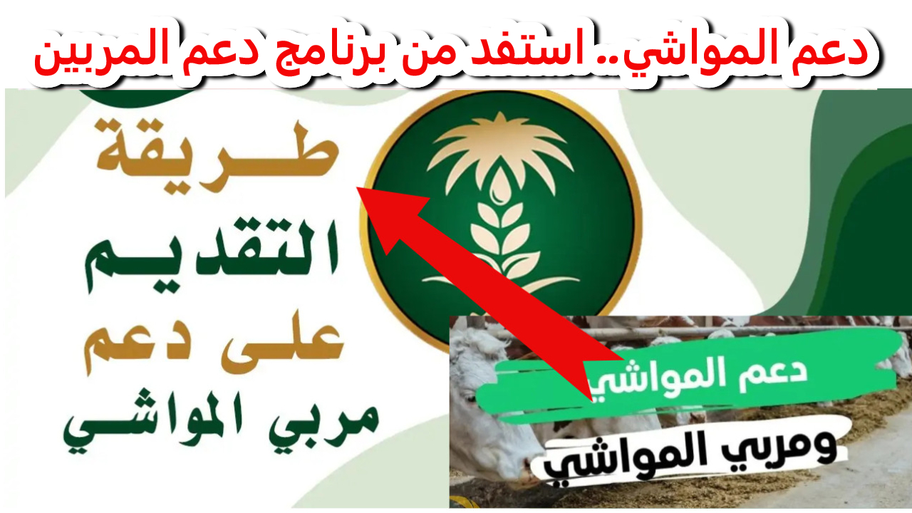 دعم المواشي.. استفد من برنامج دعم المربين