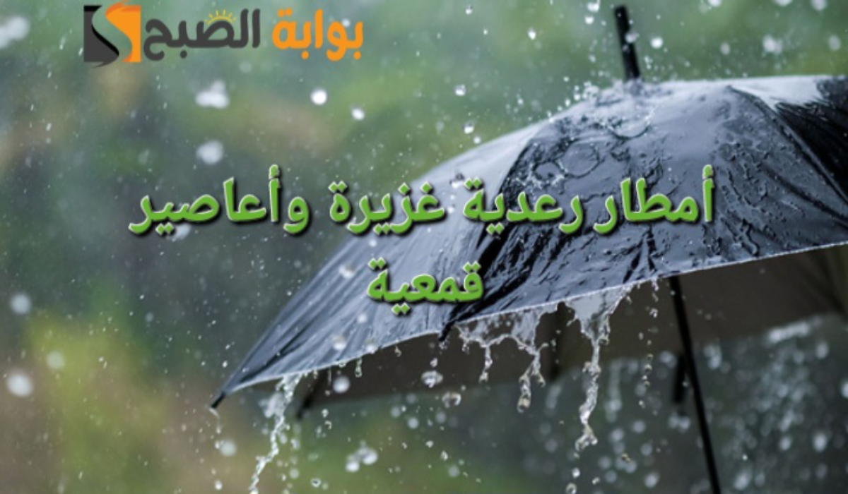 image ٦٦٩ 1