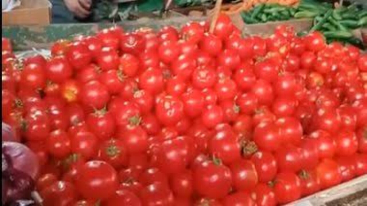 سعر كيلو الطماطم اليوم