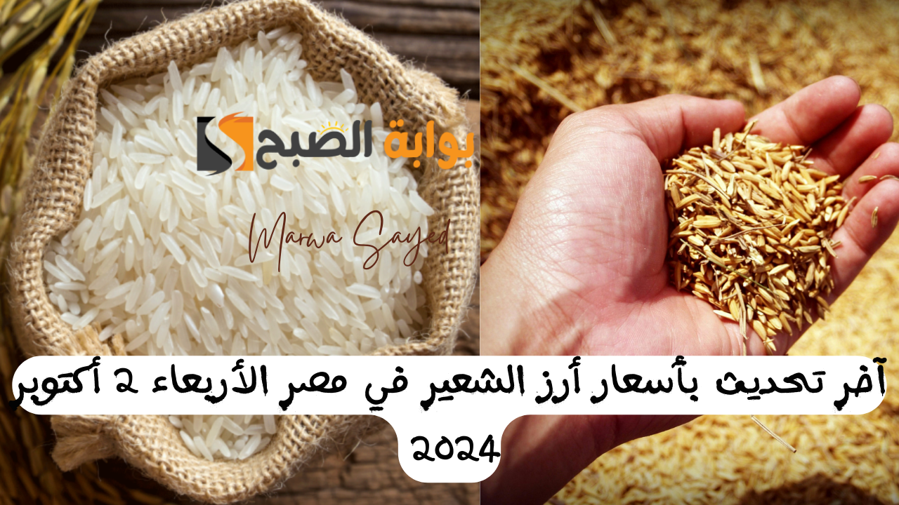 آخر تحديث بأسعار أرز الشعير في مصر الأربعاء 2 أكتوبر 2024