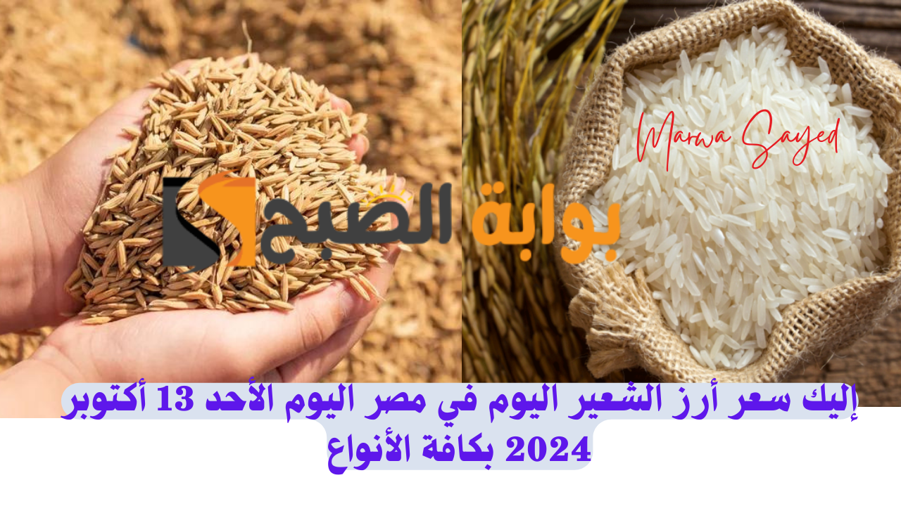 أسعار أرز الشعير اليوم في مصر