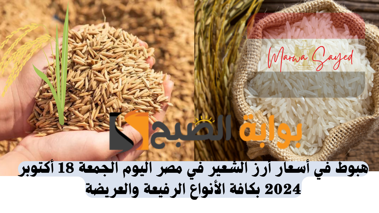 أسعار أرز الشعير اليوم في مصر