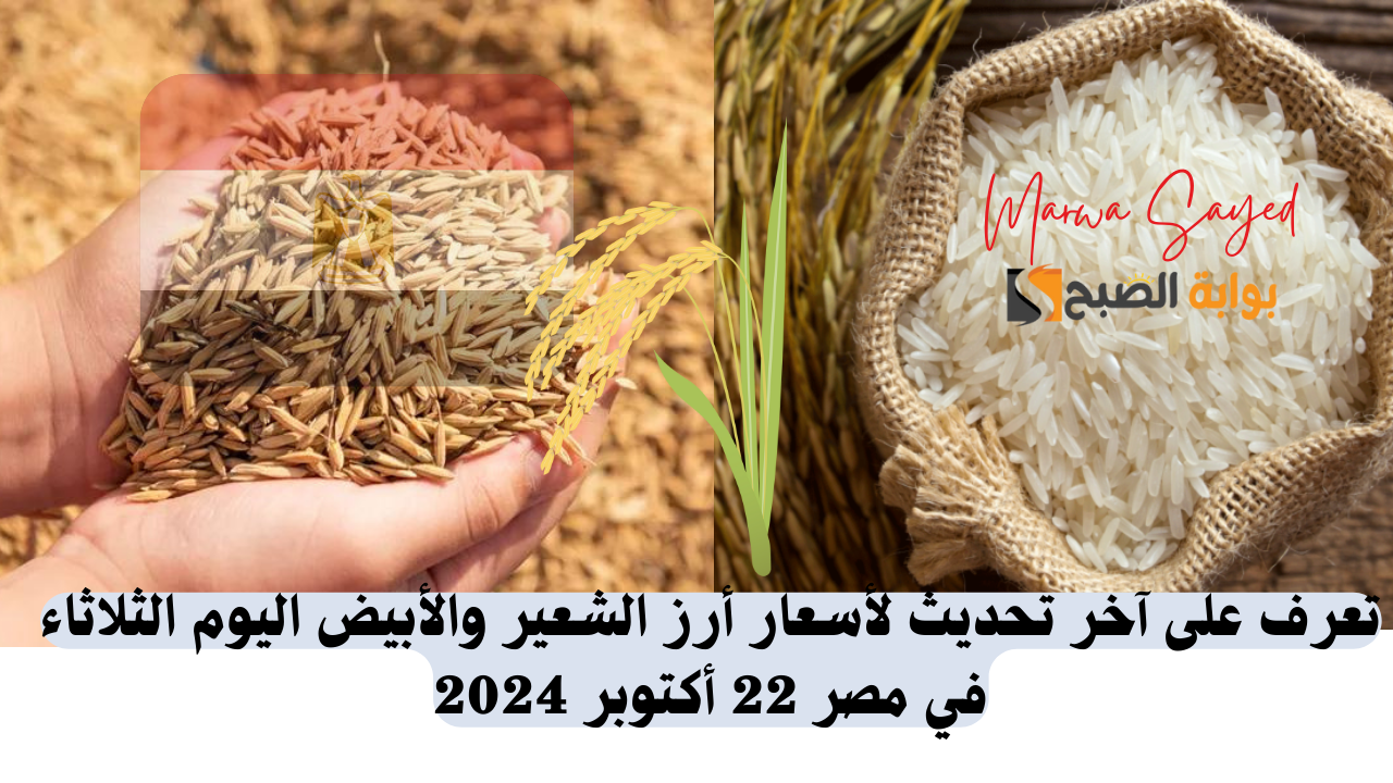 أسعار أرز الشعير اليوم في مصر