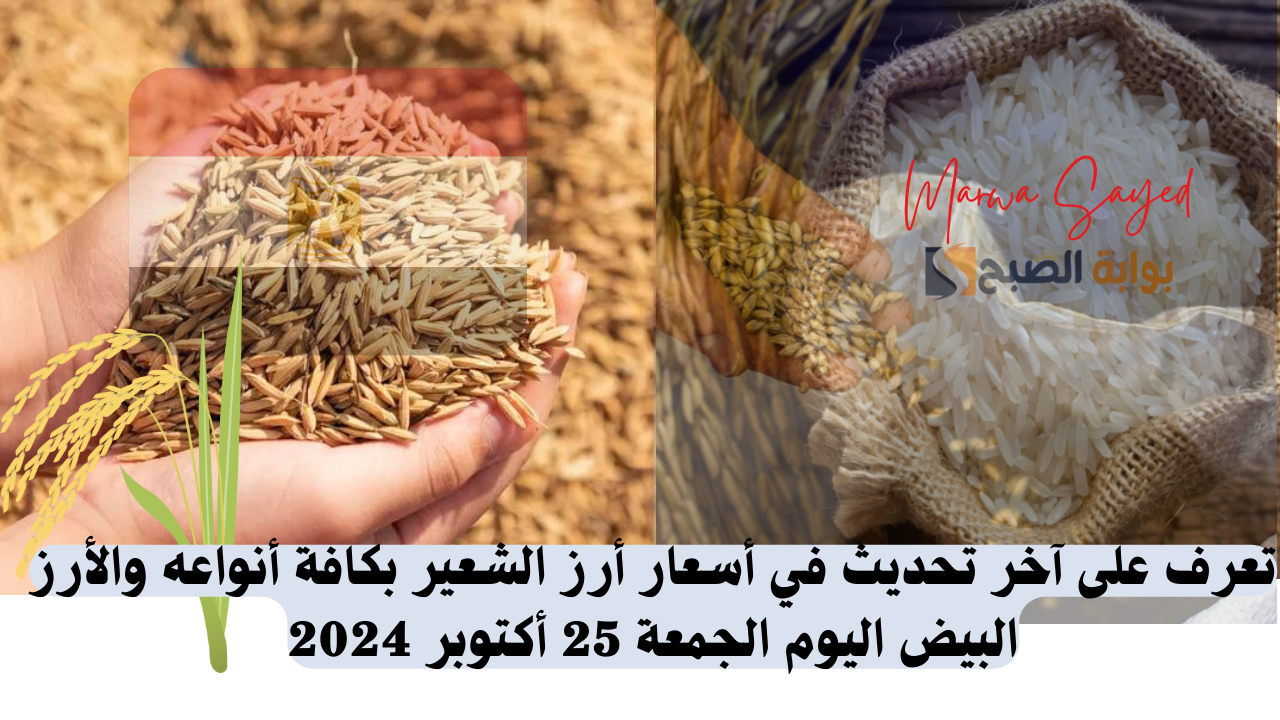 أسعار أرز الشعير اليوم في مصر