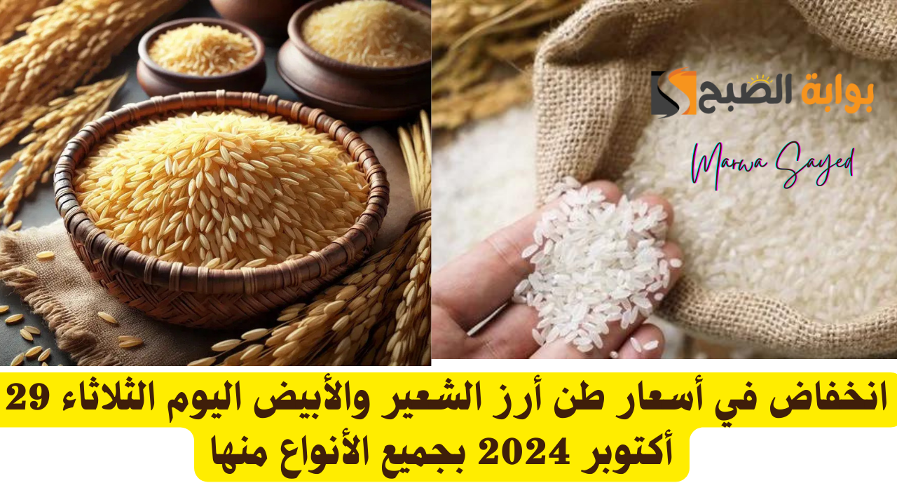 أسعار أرز الشعير اليوم في مصر