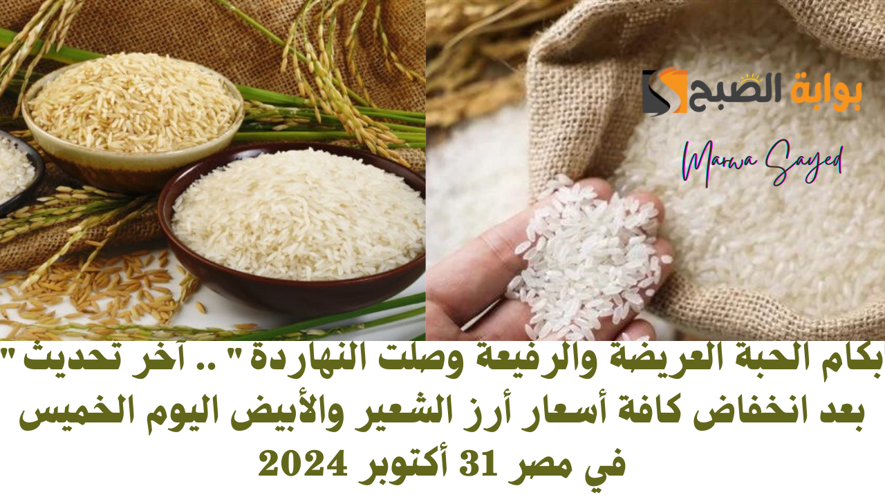 أسعار أرز الشعير اليوم في مصر