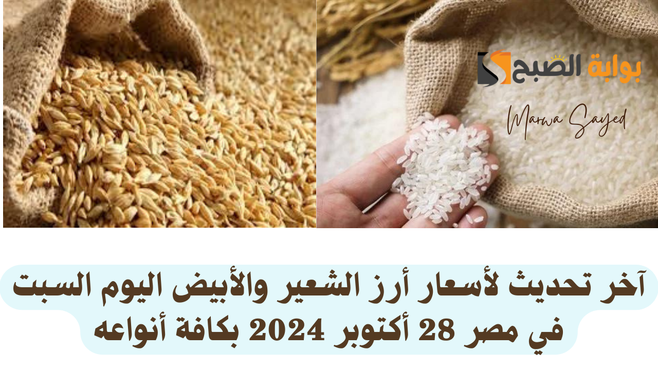 أسعار أرز الشعير اليوم في مصر