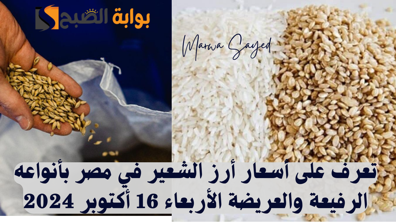 أسعار أرز الشعير في مصر