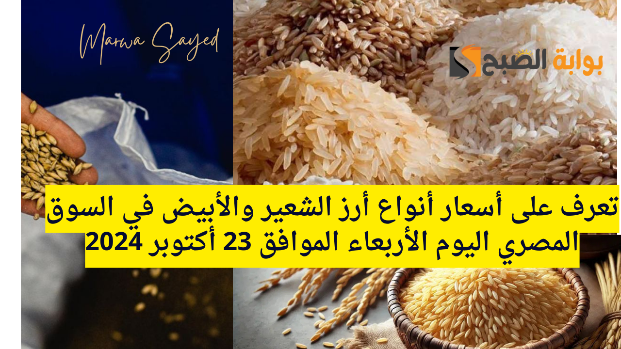 أسعار أرز الشعير في مصر