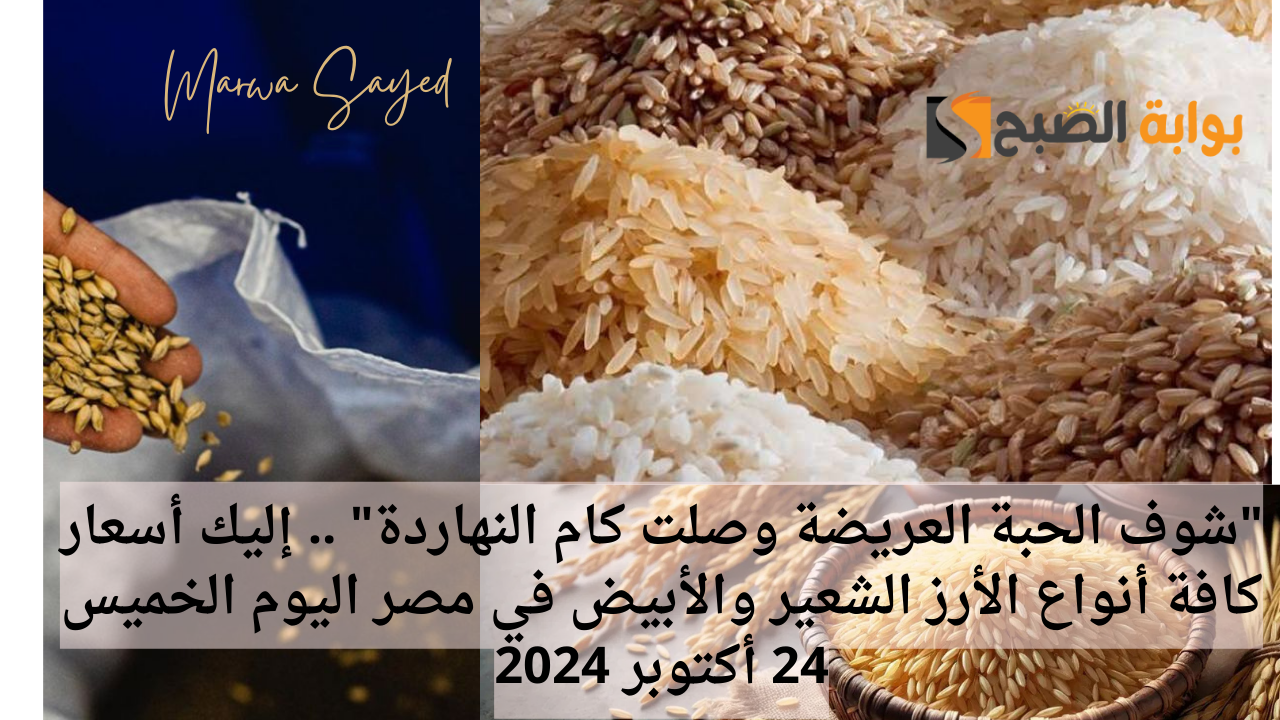 أسعار أرز الشعير في مصر