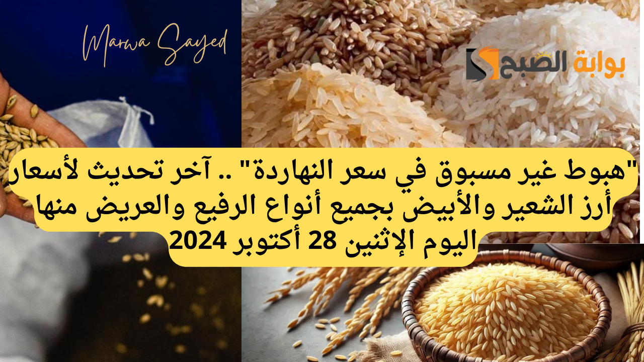 أسعار أرز الشعير في مصر