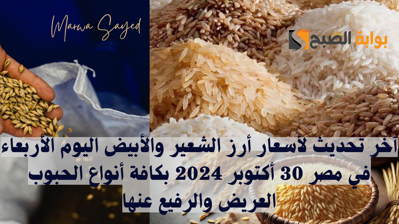 أسعار أرز الشعير في مصر