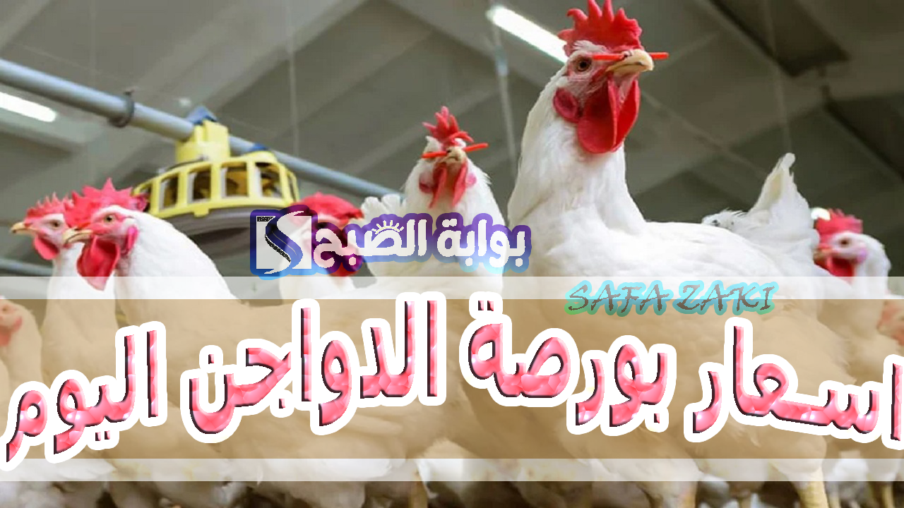أسعار الدواجن