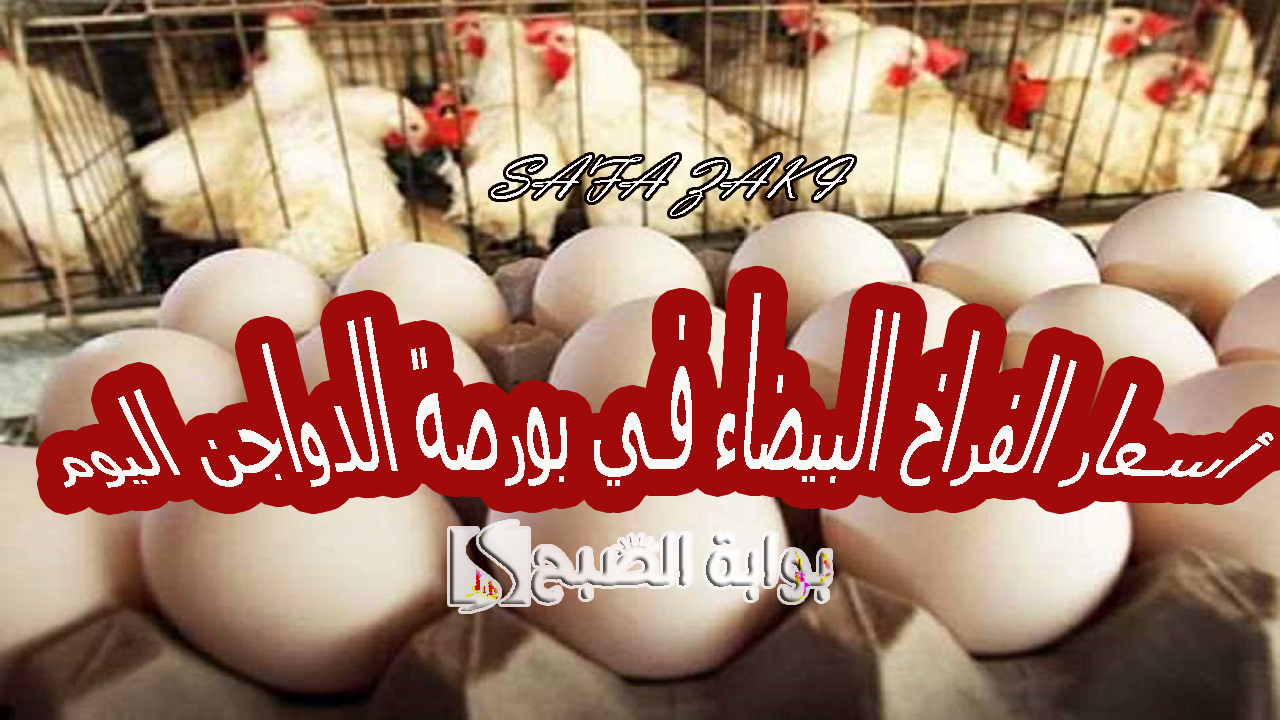 أسعار الفراخ البيضاء في بورصة الدواجن اليوم
