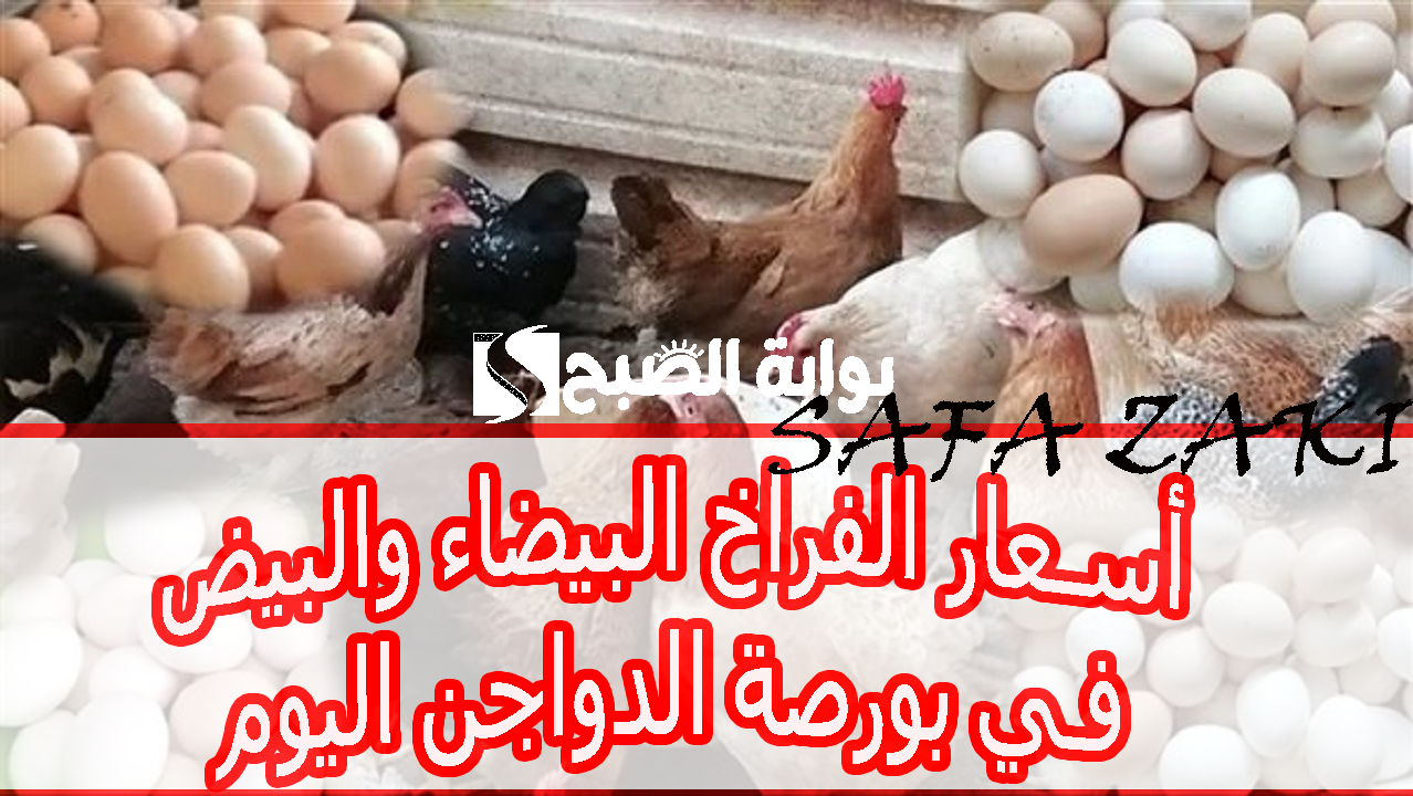 أسعار الفراخ البيضاء والبيض في بورصة الدواجن اليوم