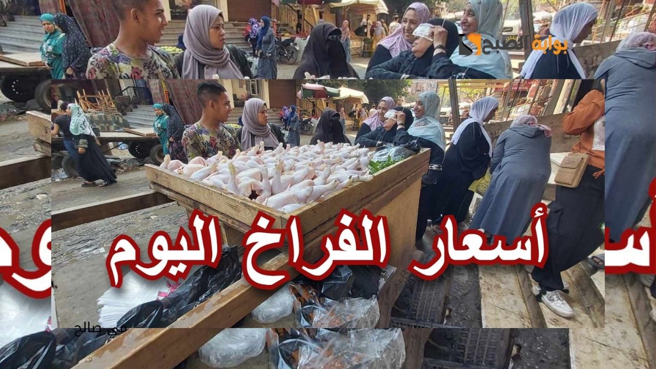 أسعار الفراخ اليوم الثلاثاء 8 أكتوبر 2024 في مصر باستقرار نسبي بالأسواق