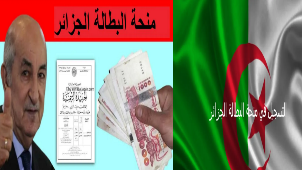 إدخال رقم التسجيل في منحة البطالة 1024x576 1