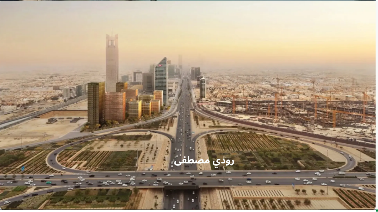 قرار إيقاف القضاء عن شمال الرياض