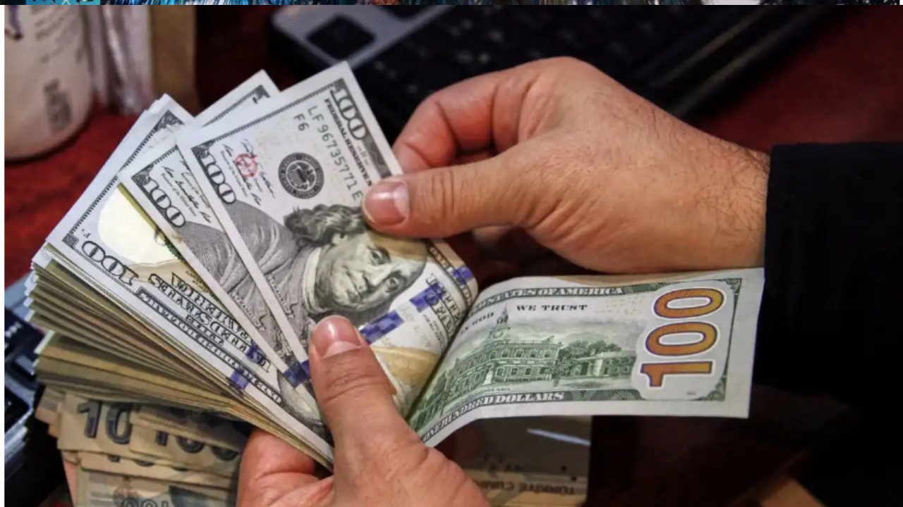 سعر الدولار مقابل الجنيه المصري اليوم