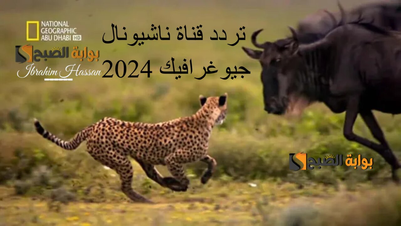 استقبلها الآن وعيش الحياة البرية.. أحدث تردد قناة ناشيونال جيوغرافيك الجديد 2024 وتابع عالم الحيوان