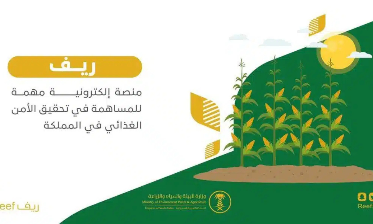 الاستعلام عن دعم ريف