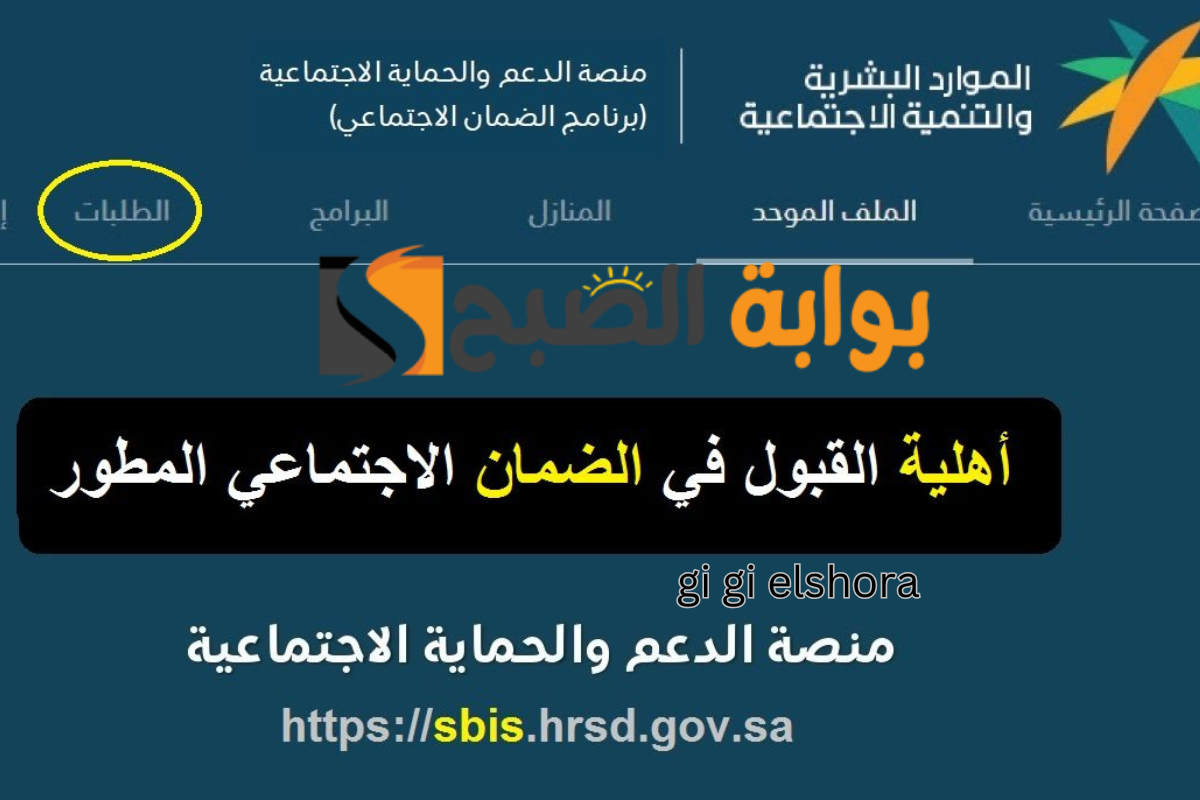الضمان الاجتماعي المطور
