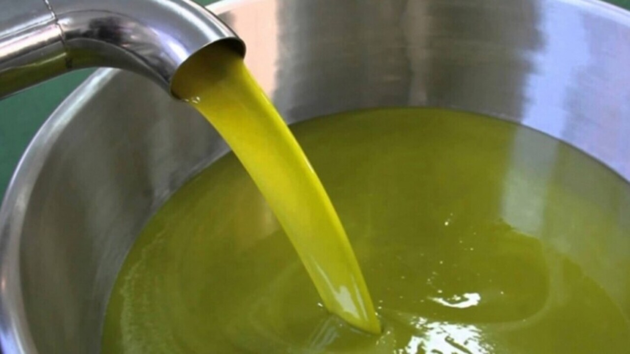 الفرق بين زيت الزيتون