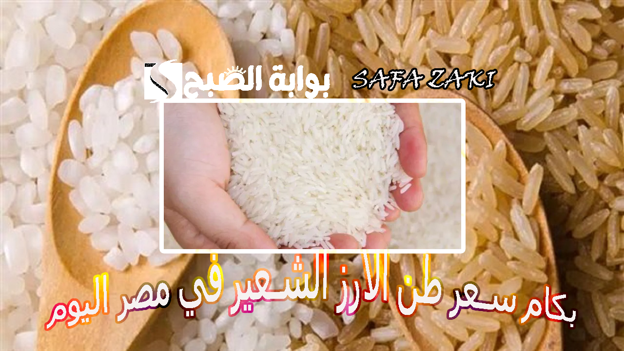 بكام سعر طن الأرز الشعير في مصر اليوم